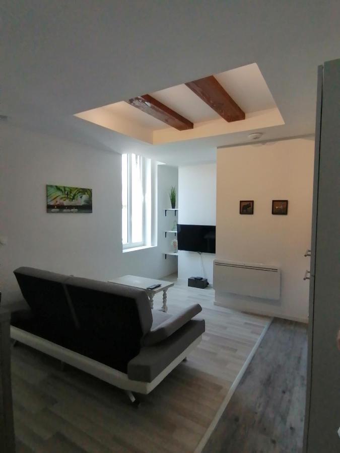 Apartament Jungle Zen Beau T2 Avec Jardin Gare 100M Tonneins Zewnętrze zdjęcie